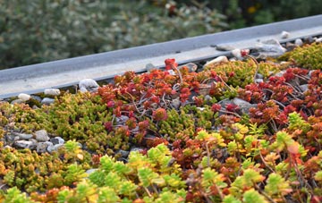 the cost of Mount Bovers green roof installation