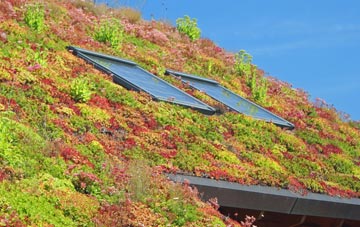 Mount Bovers living roof systems